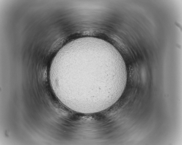 X0000095890502200802011109