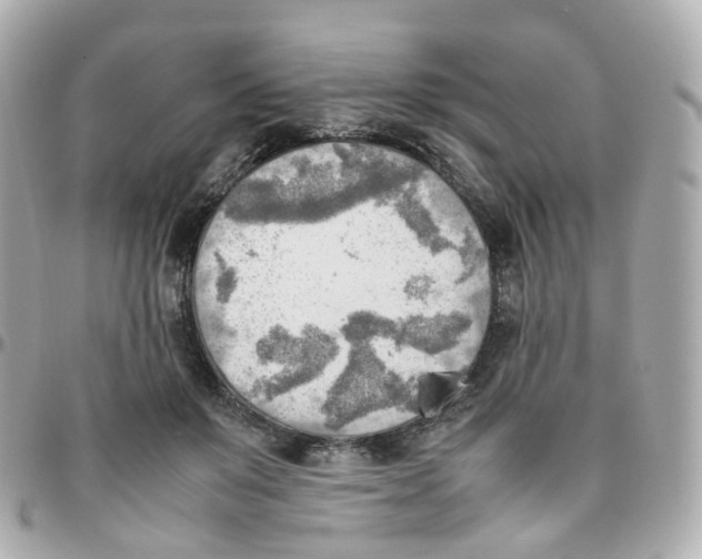 X0000095890503200802011109