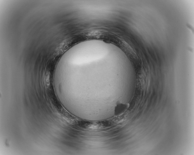 X0000095890504200802011109