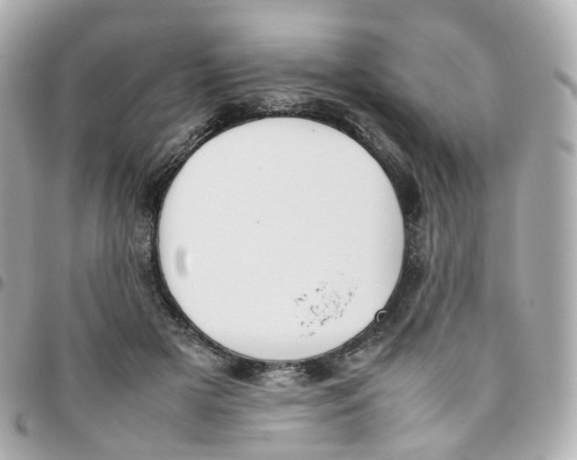 X0000095890505200802011109