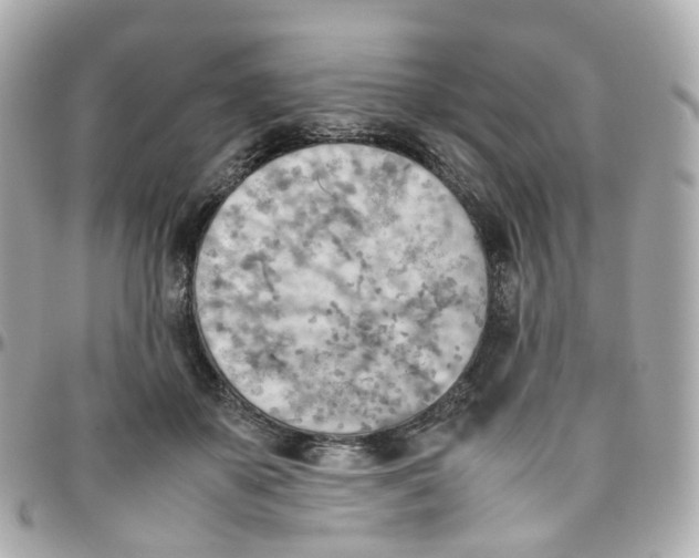 X0000095890507200802011109