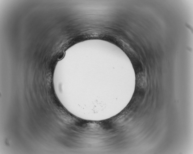 X0000095890509200802011109