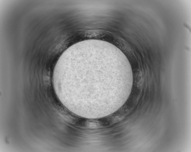 X0000095890510200802011109