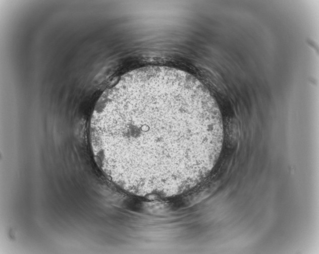 X0000095890511200802011109