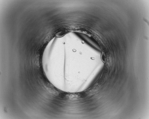 X0000095890512200802011109