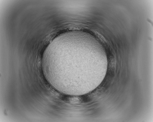 X0000095890513200802011109