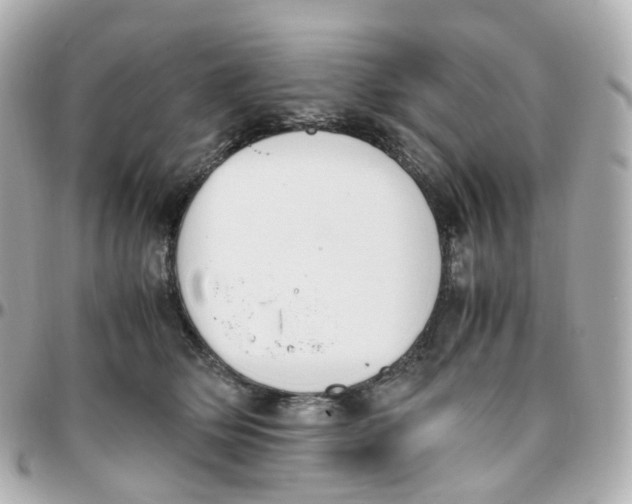 X0000095890514200802011109