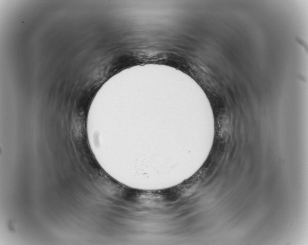 X0000095890515200802011109