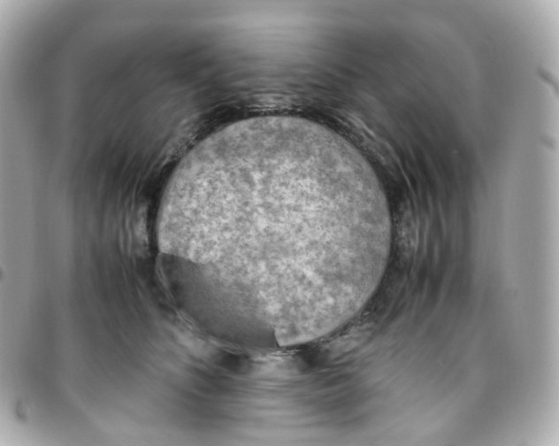 X0000095890516200802011109