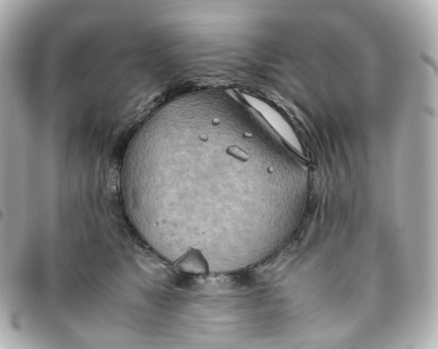 X0000095890517200802011109