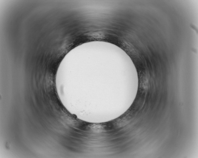 X0000095890518200802011109