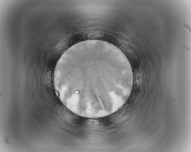 X0000095890519200802011109