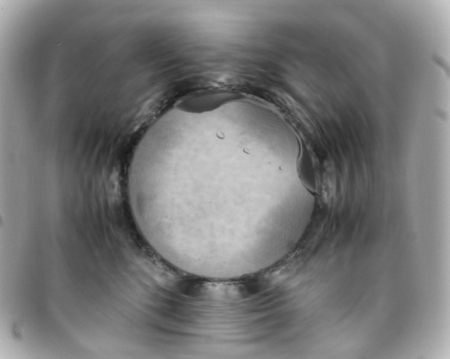 X0000095890520200802011109