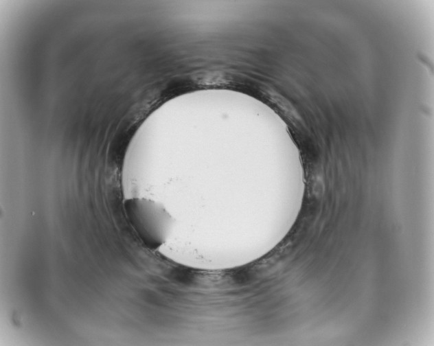 X0000095890521200802011109