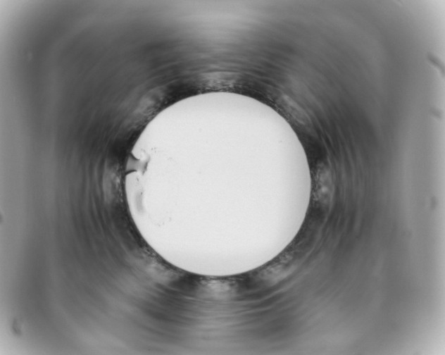 X0000095890522200802011109