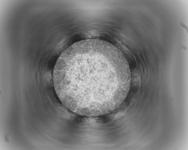 X0000095890523200802011109