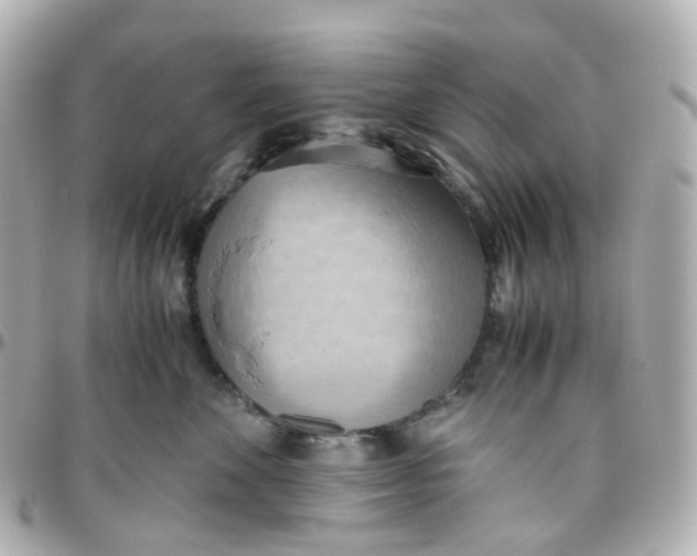 X0000095890524200802011109