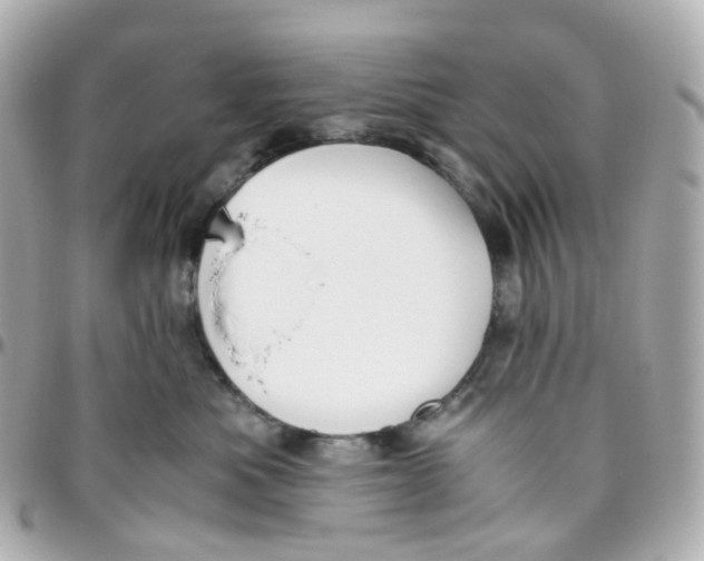 X0000095890525200802011109