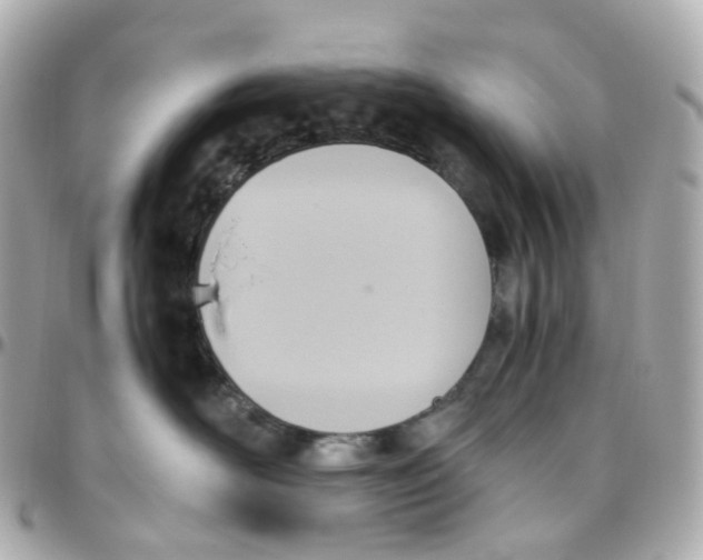 X0000095890526200802011109