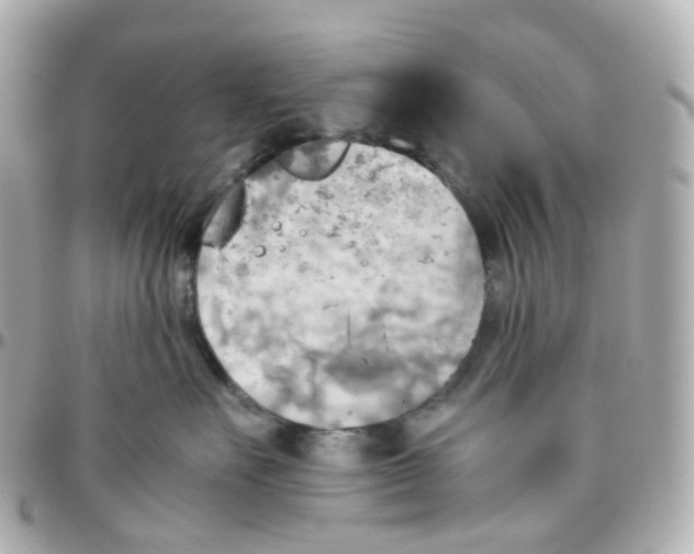 X0000095890527200802011109