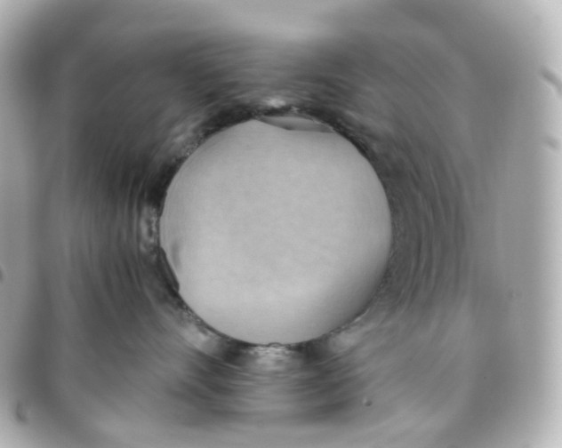 X0000095890528200802011109