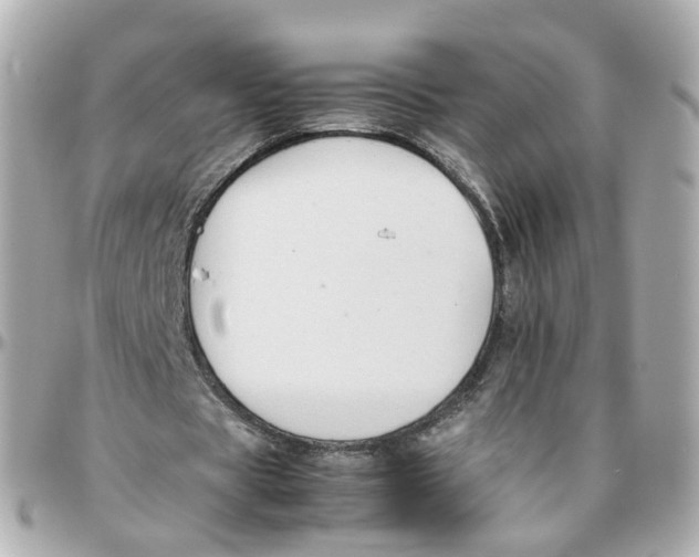 X0000095890529200802011108