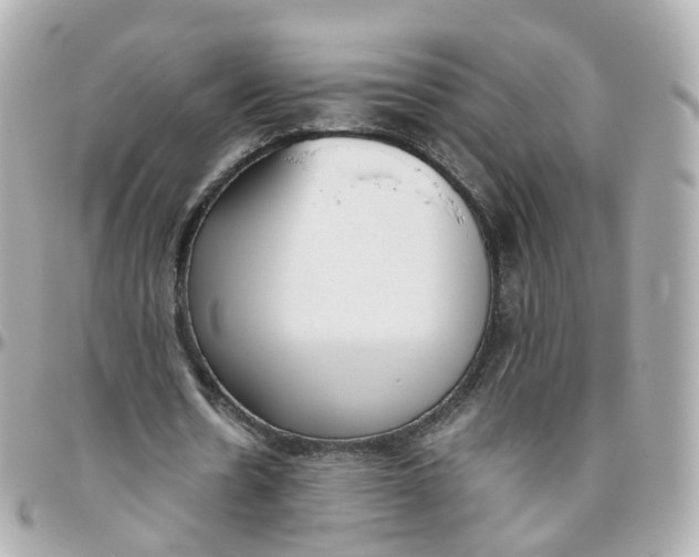 X0000095890530200802011108