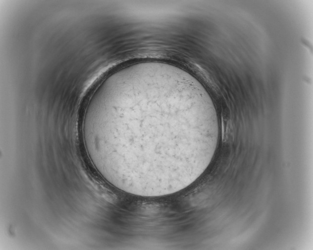 X0000095890531200802011108