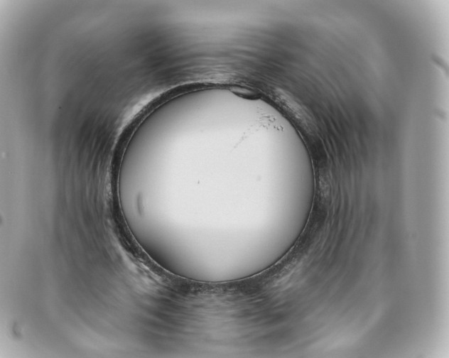 X0000095890532200802011108