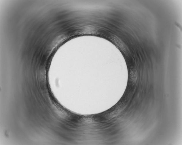 X0000095890534200802011108