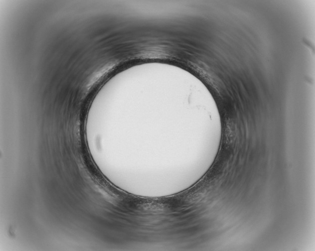 X0000095890535200802011108