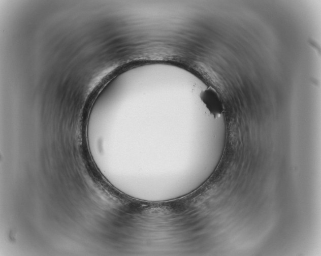 X0000095890536200802011108