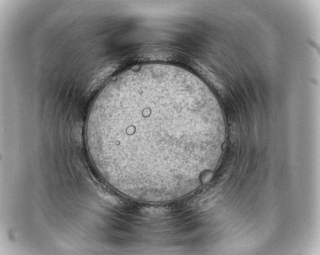 X0000095890537200802011109