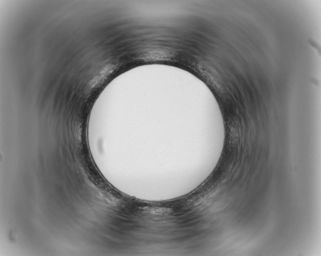 X0000095890539200802011109