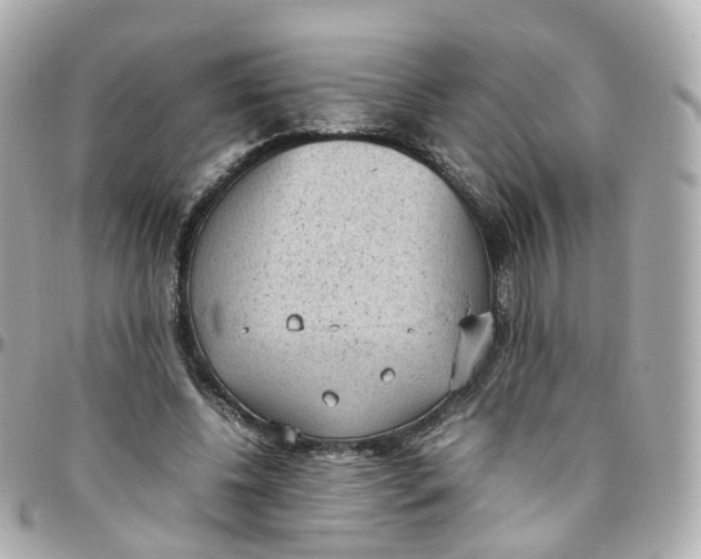 X0000095890540200802011109