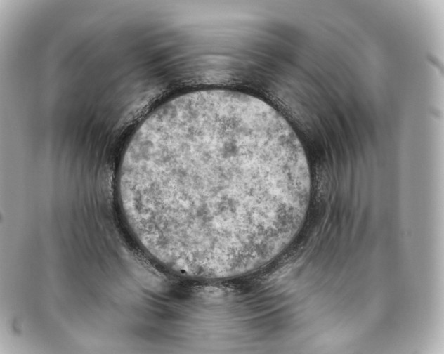 X0000095890542200802011109