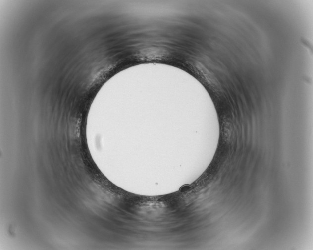 X0000095890543200802011109