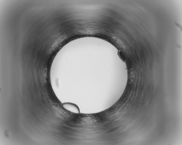 X0000095890544200802011109