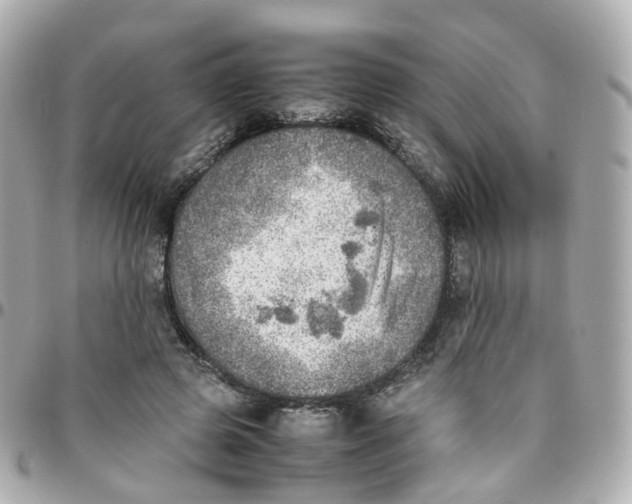 X0000095890545200802011109