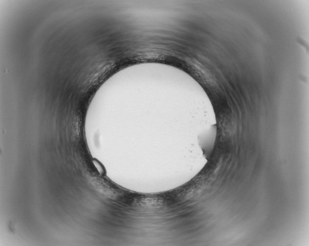 X0000095890546200802011109