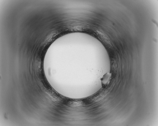 X0000095890548200802011109