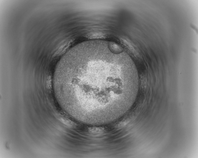 X0000095890549200802011109