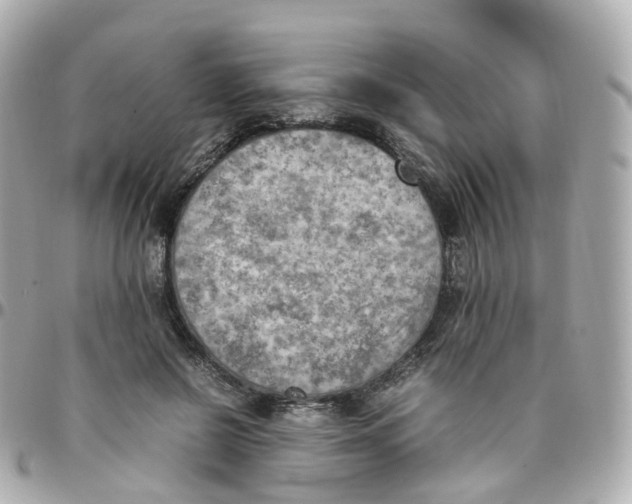 X0000095890550200802011109