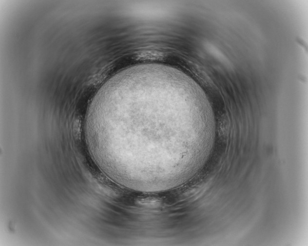 X0000095890551200802011109