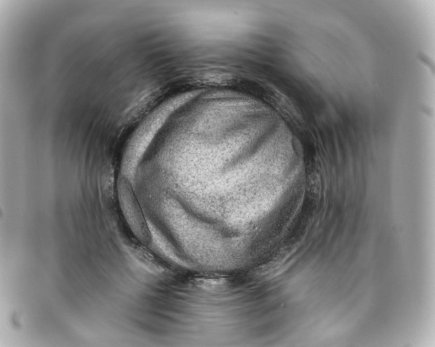 X0000095890552200802011109