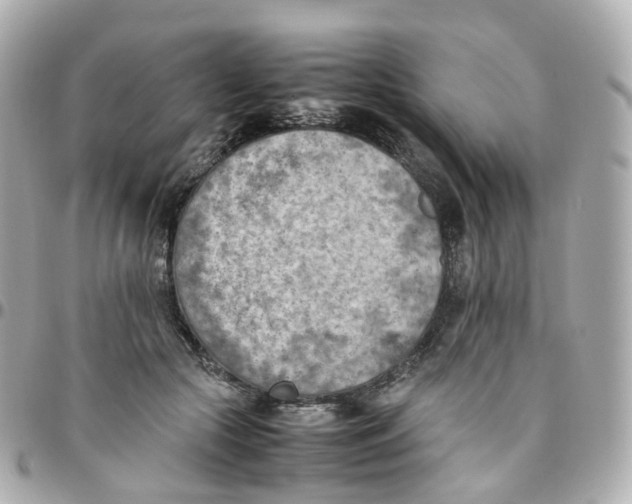 X0000095890553200802011109