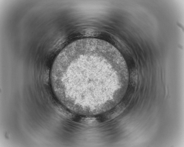 X0000095890554200802011109