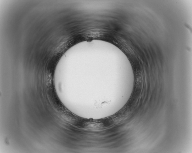 X0000095890555200802011109