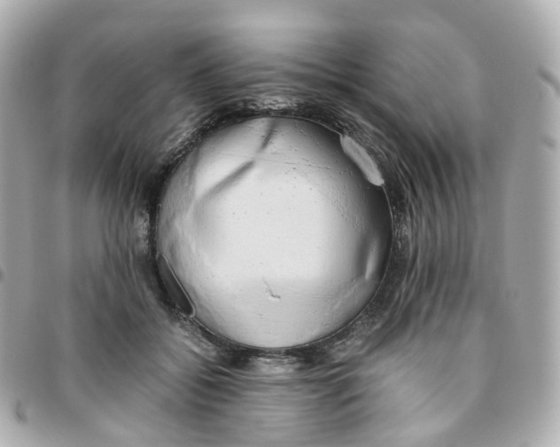 X0000095890556200802011109