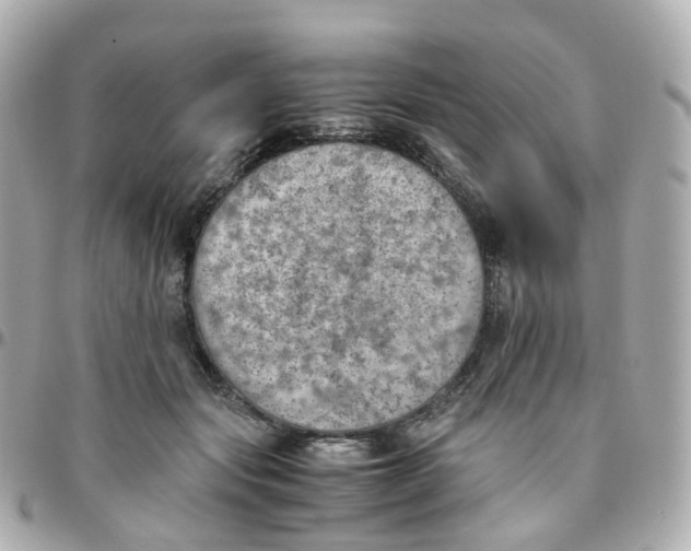 X0000095890557200802011109